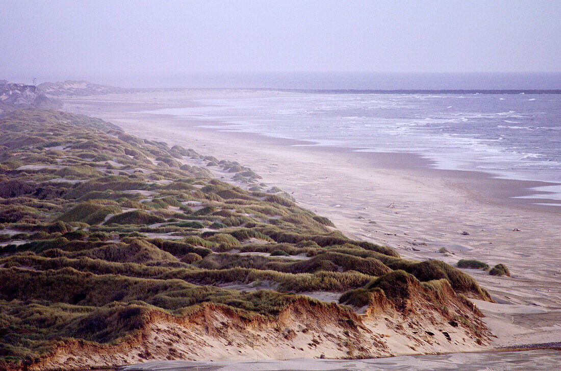 Florence. Oregon. USA