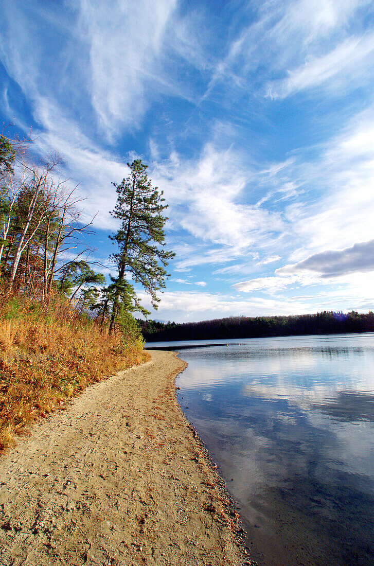 Walden Pond, Concord, Massachusetts. Near the site where Henry David Thoreau (1817-1862) built his cabin and lived with nature