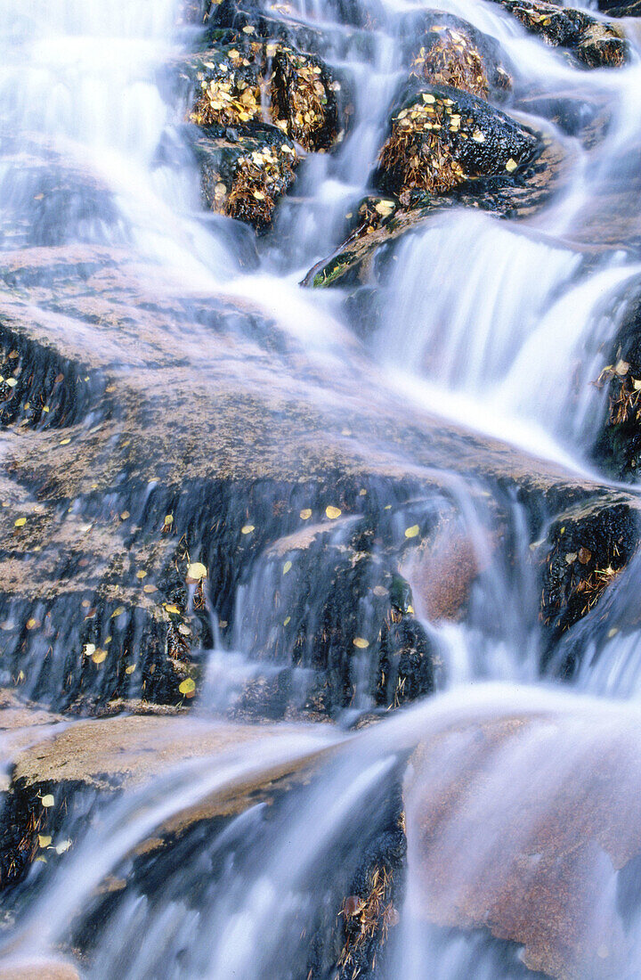 Waterfall and fallen autumn leaves. Cairngorms National Park. Scotland. UK