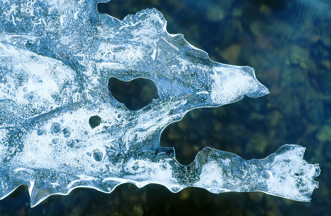 Patterns in ice. Cairngorms National Park. Scotland. UK