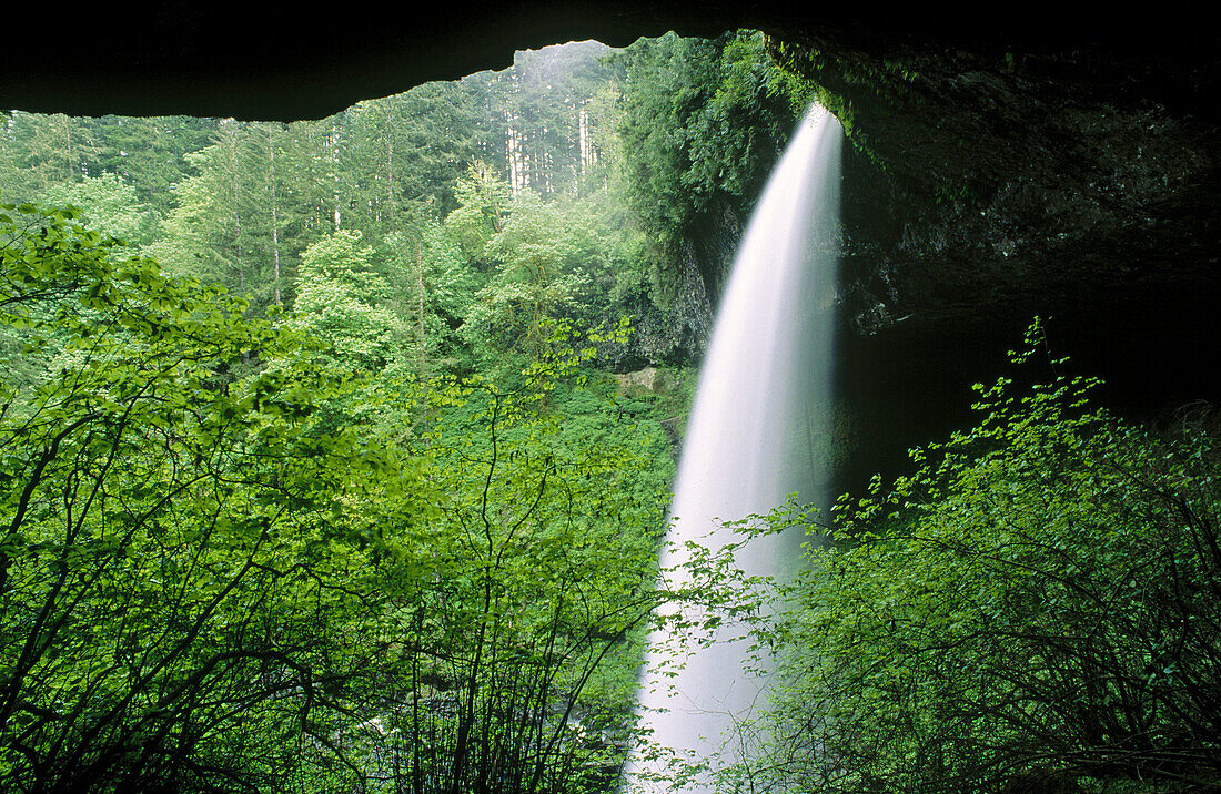 Waterfall, Silver Falls State Park. Oregon, USA