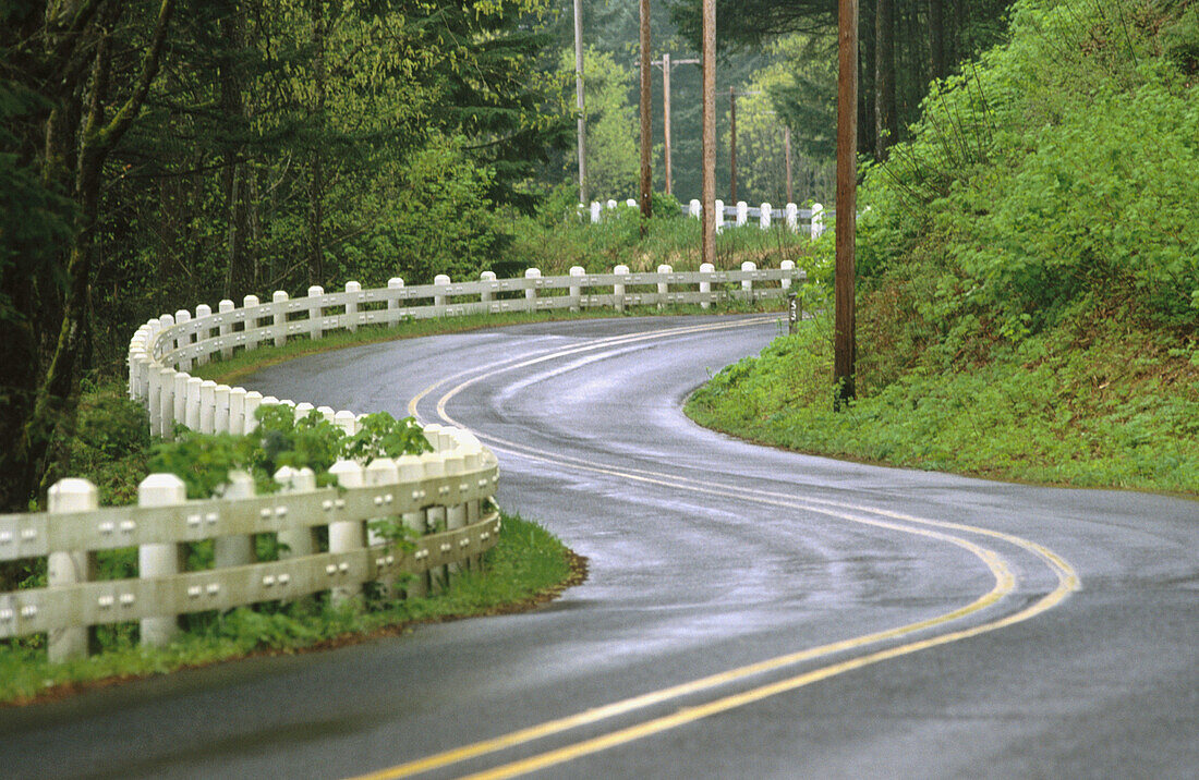 Highway in rain. Columbia River Gorge National Scenic Area. Oregon, USA