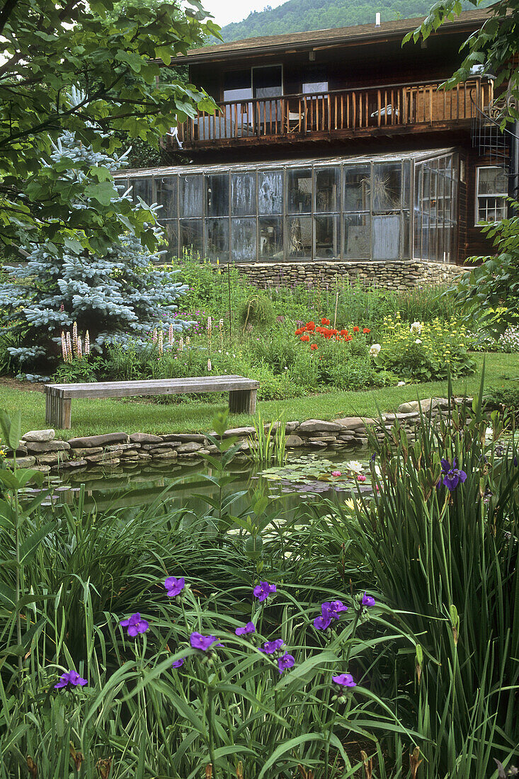 Spiderwort fgnd, Wood bench faces pond w/ water lilies, backed by Lupines, Peonies, Poppies, Phlomis and Iris; greenhouse attached to home bkgnd (Tradescantia sp.; Lupinus sp.; Paeonia cv.; Papaver orientale Turkenlouis ; Phlomis sp...