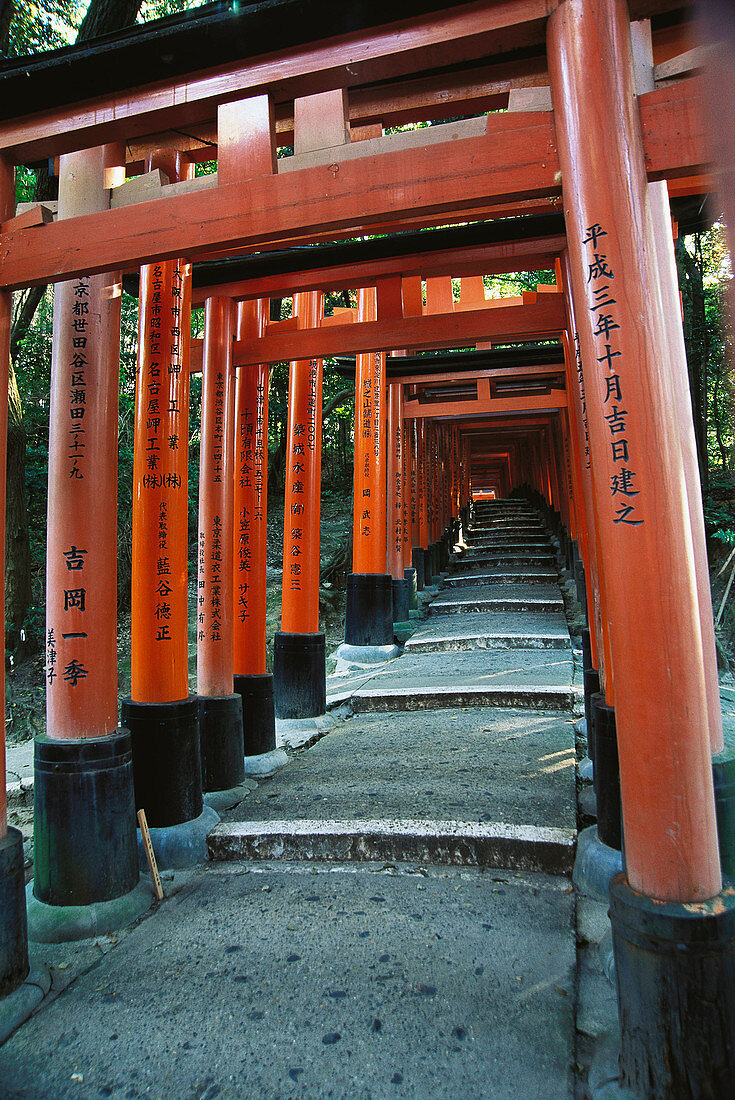 Row of Torii gates following path at Fushimi Inari Taisha Shrine. Kyoto. Japan