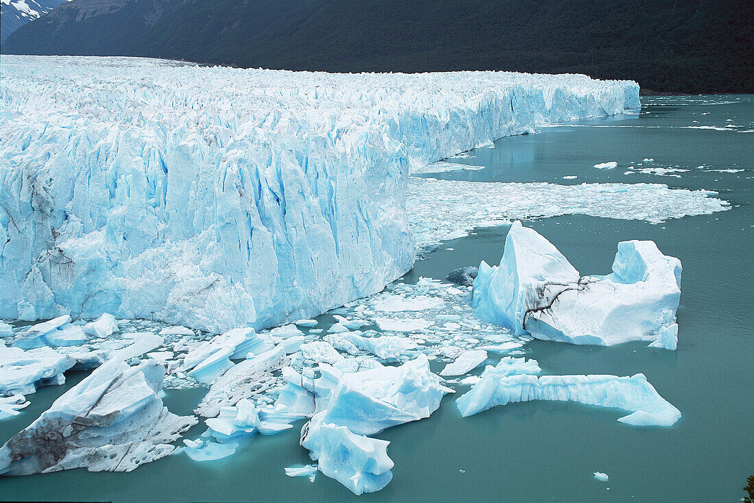 Los Glaciares NP. Patagonia. Argentina