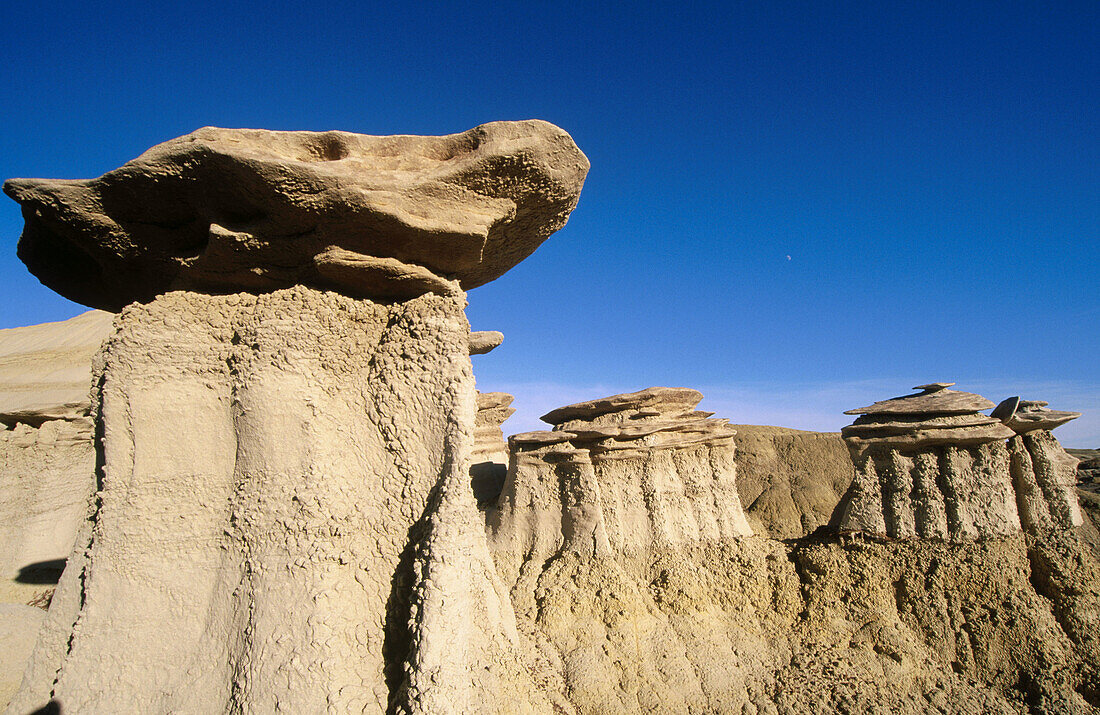 Geological formations in Bisti Badlands, wilderness area. New Mexico. USA