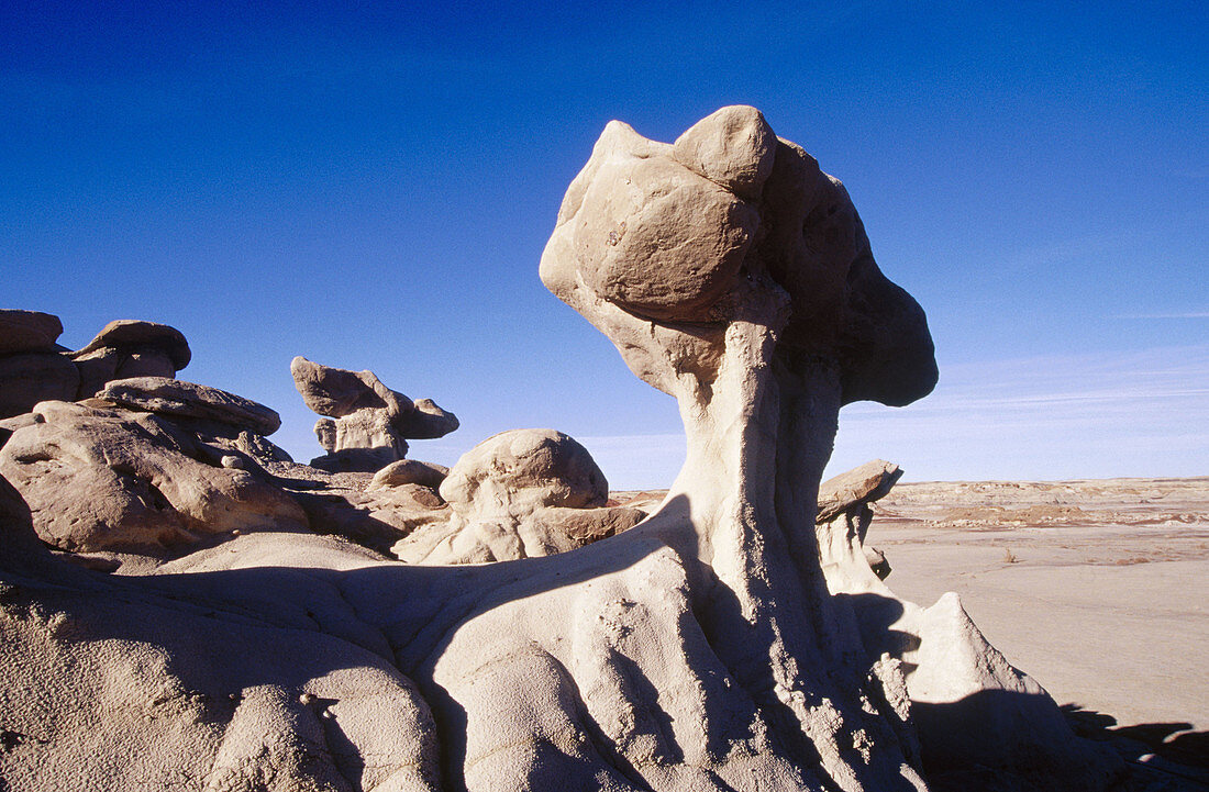 Bisti Wilderness Area. Geological formation. New Mexico. USA