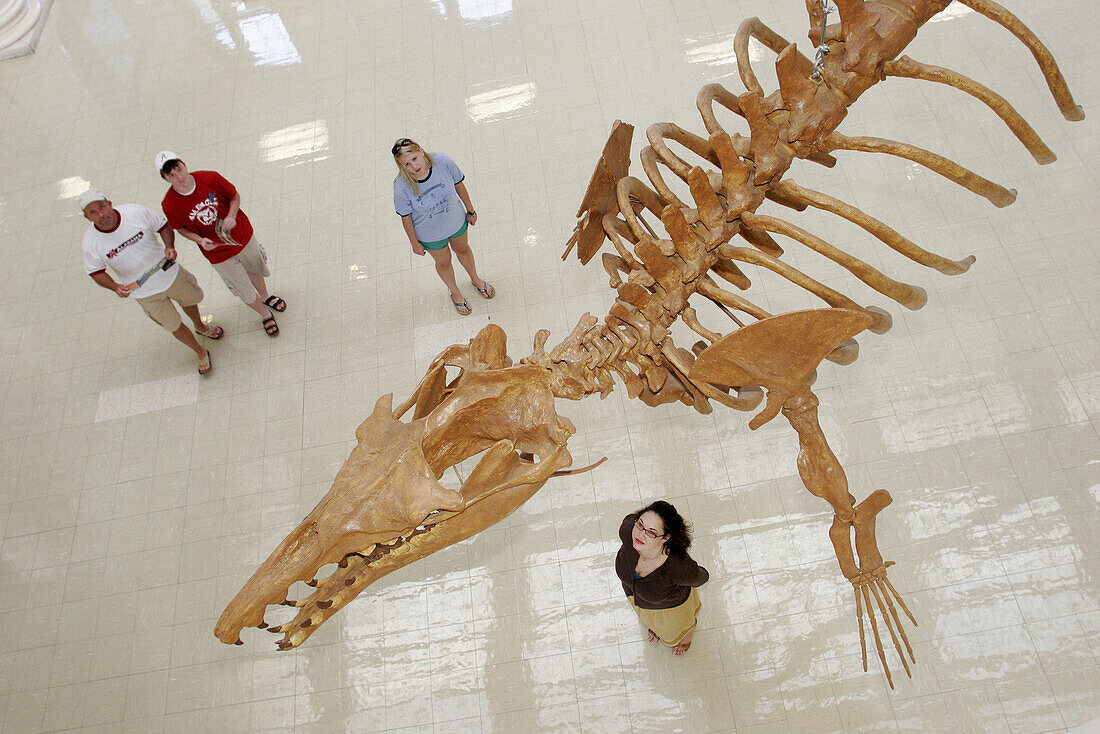 Alabama, Tuscaloosa, University of Alabama, Museum of Natural History, whale fossil