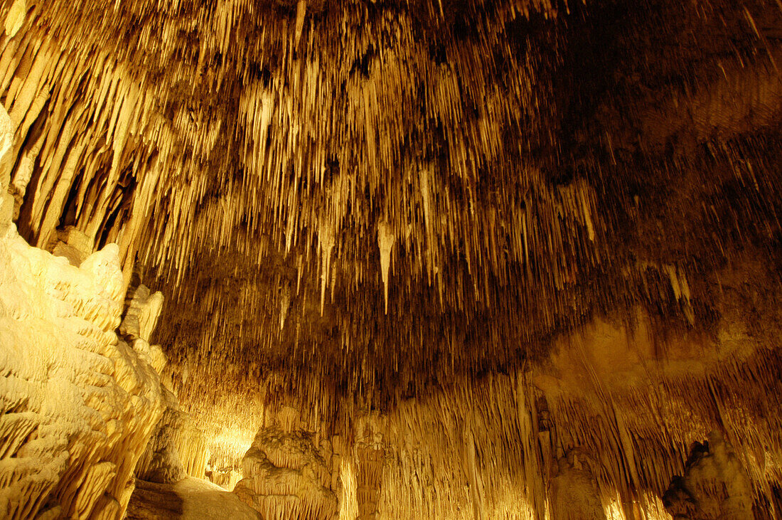 Drach caves spectacular view. Porto Cristo. Mallorca. Balearic Islands. Spain.