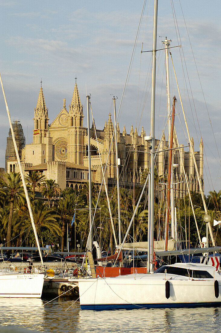 Cathedral view. Sunset at the Palma bay. Mallorca. Balearic Islands. Spain.