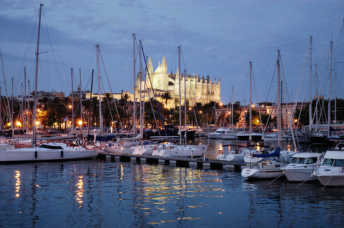 Cathedral view. Sunset at the Palma bay. Mallorca. Balearic Islands. Spain.