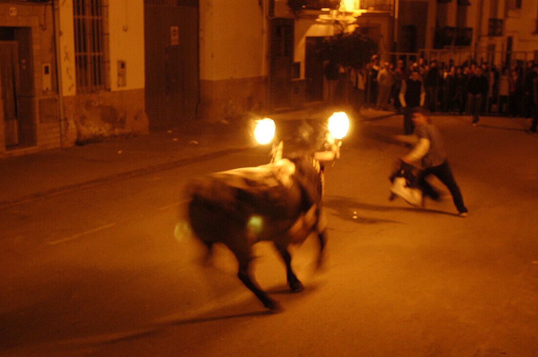  Action, Adult, Adults, Animal, Animal abuse, Animals, Blurred, Bull, Bulls, Celebrate, Celebrating, Celebration, Celebrations, Color, Colour, Cruel, Cruelty, Europe, Exterior, Festival, Festivals, Fire, Flame, Flames, Folk, Folklore, Holiday, Holidays, H
