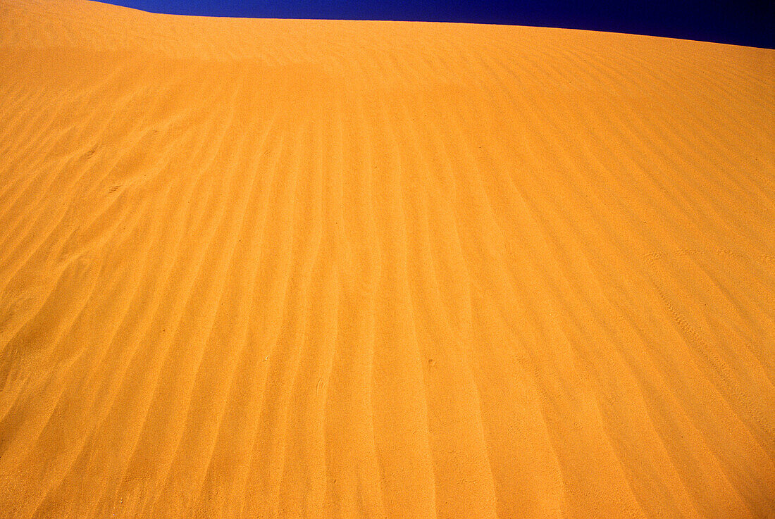 Scenic desert sand dune.