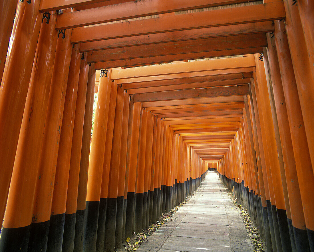 Taisha shrine, Kyoto, Japan.