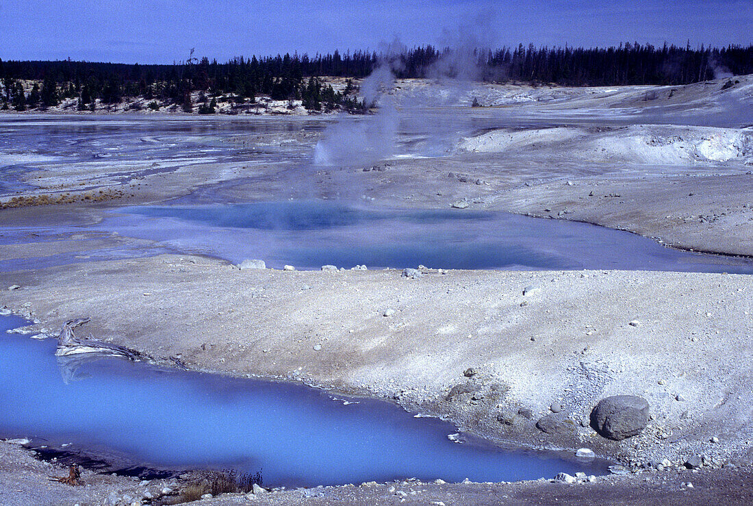 Scenic porcelain basin, Norris geyser basin, Yellowstone National park, Wyoming, USA.