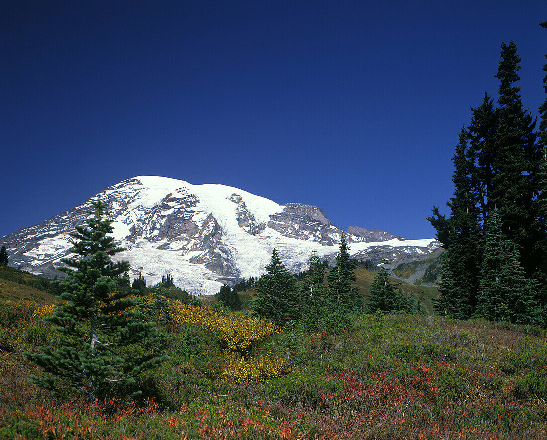 Scenic Mount Rainier, Rainier national park, Washington state, USA.