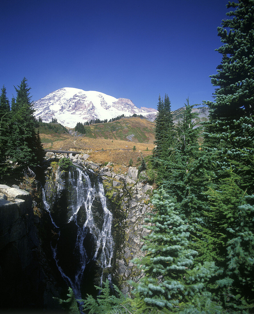 Mirtle waterfalls & Mount Rainier, Rainier national park, Washington state, USA.