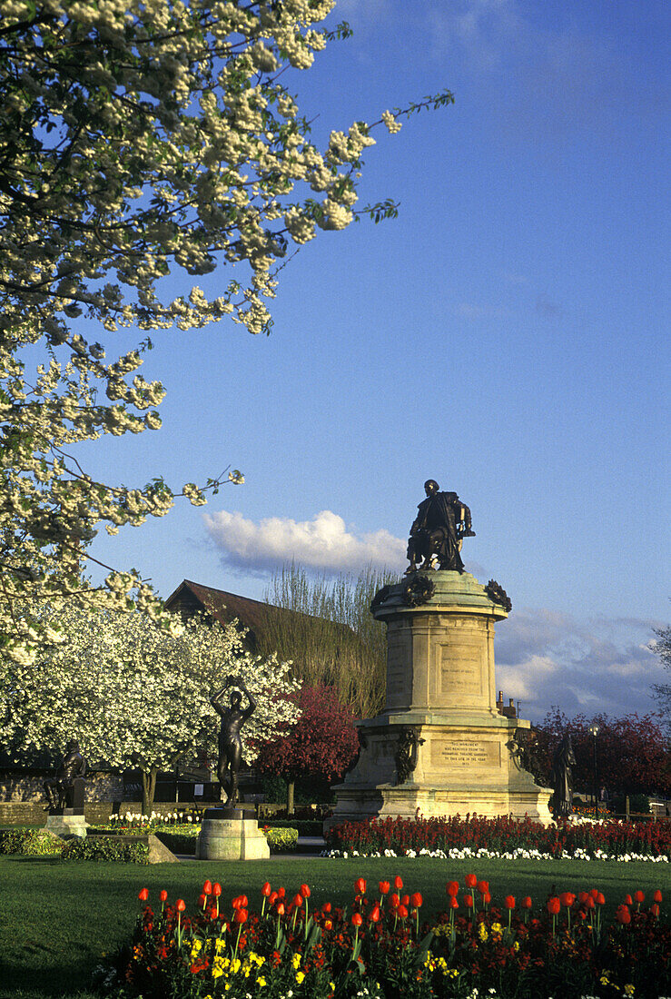 Spring blossoms, Shakespeare statue, Stratford upon avon, England, UK