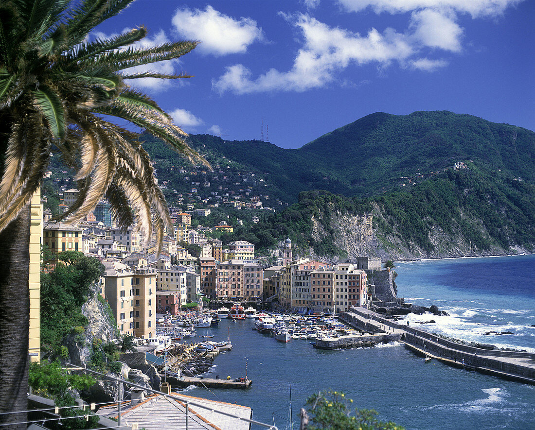 Camogli, Ligurian riviera coastline, Italy.