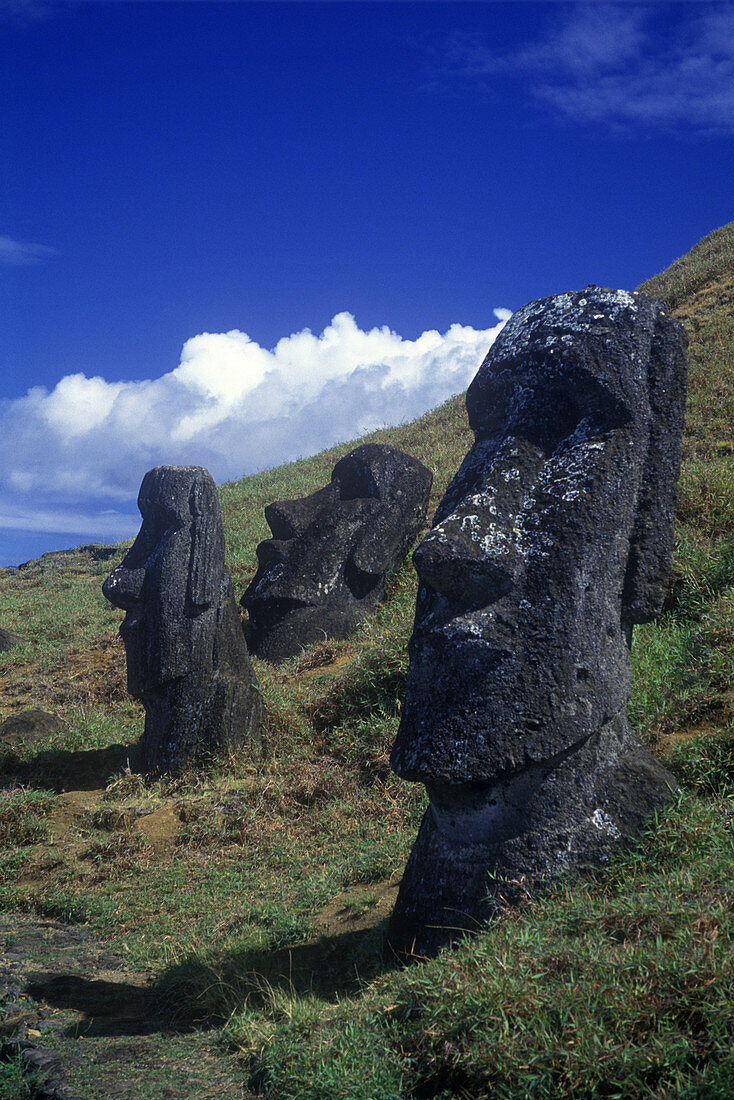 Moai, Rano raraku, Easter island, Chile.