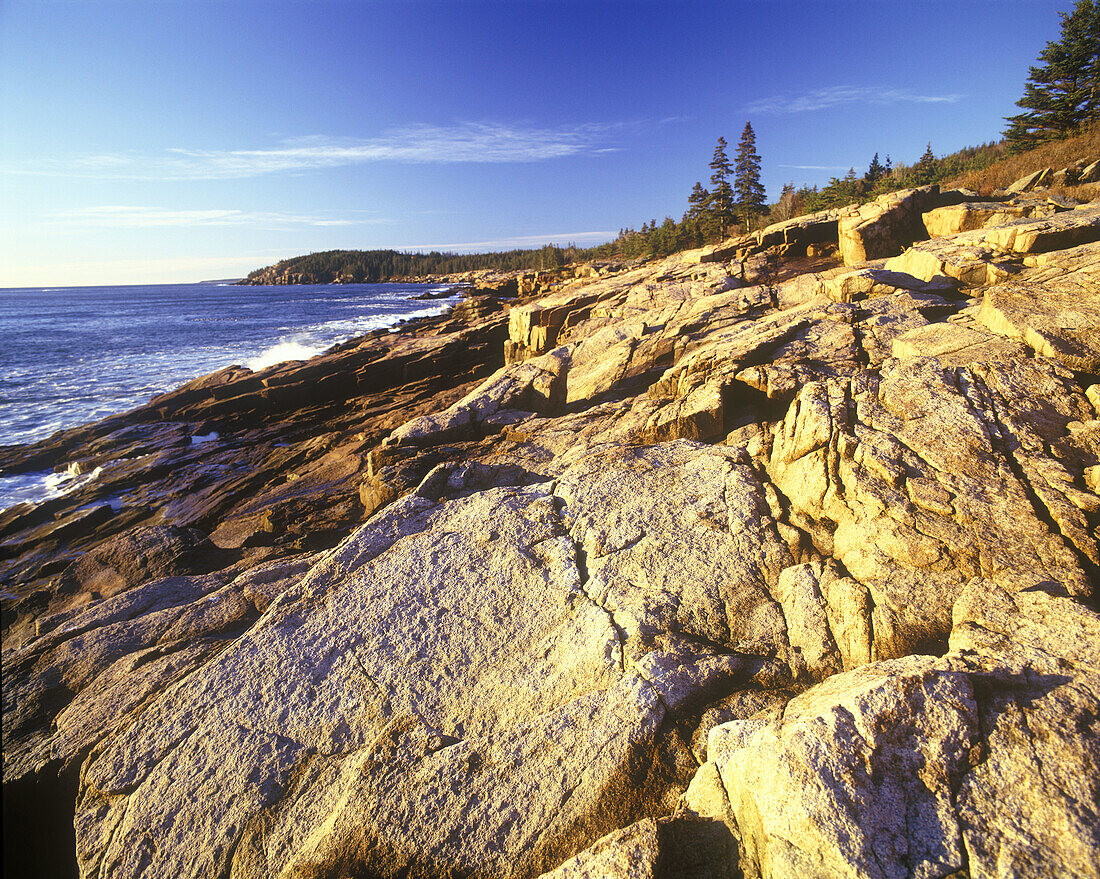 Scenic otter cliffs, Mount desert islandcoastline, Maine, USA.