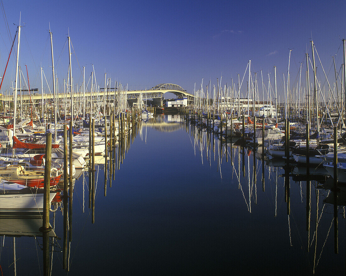 Westhaven marina & harbour bridge, Auckland, New zealand
