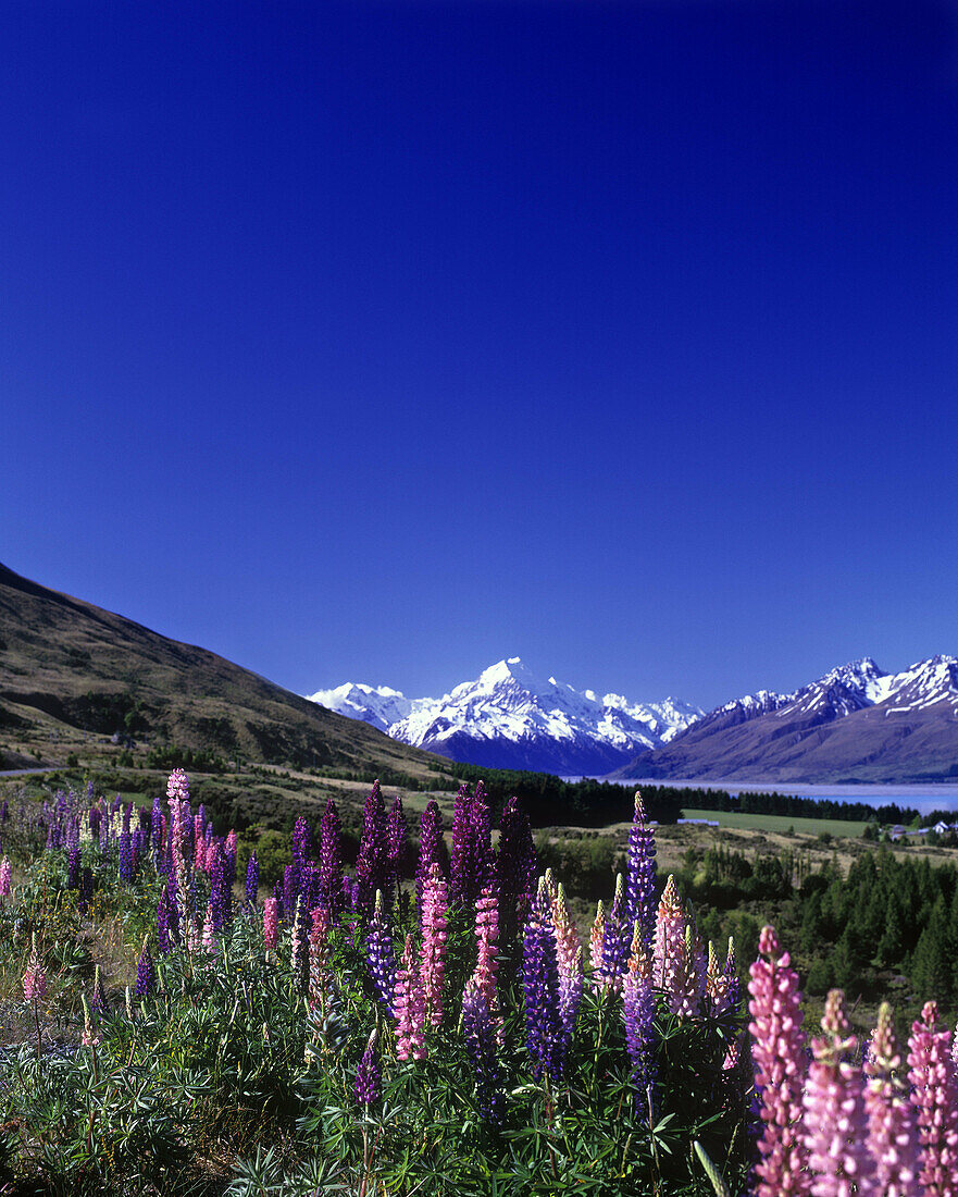 Scenic lake pukaki, Mount cook national park, New zealand.