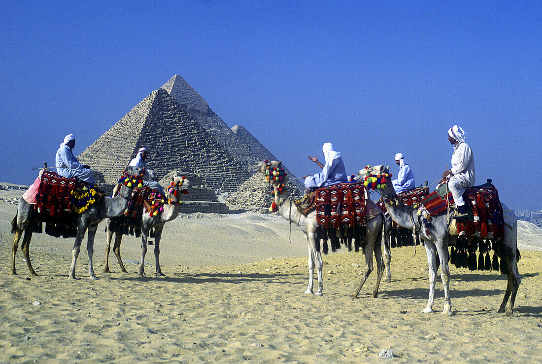 Arabs on camels, Great pyramids, Giza ruins, Cairo, Egypt.