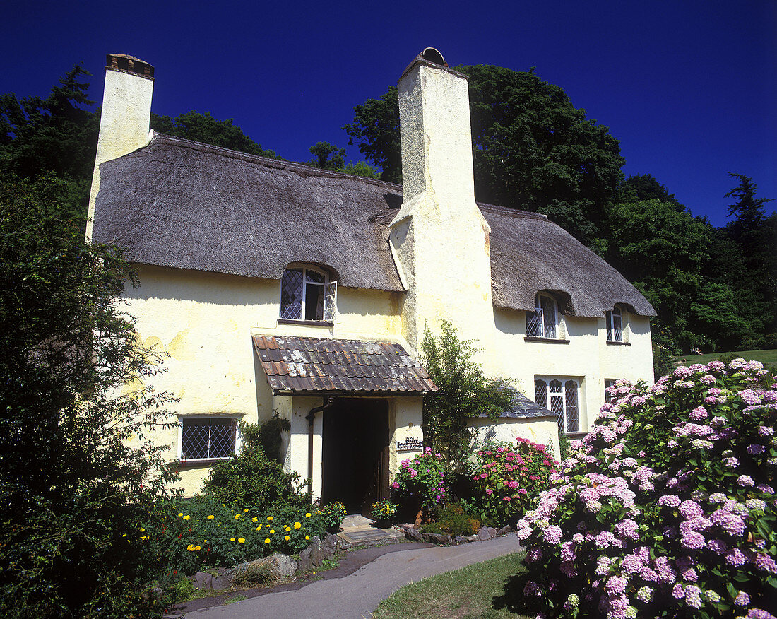 Cottage, Selworthy green village, Somerset, England, UK