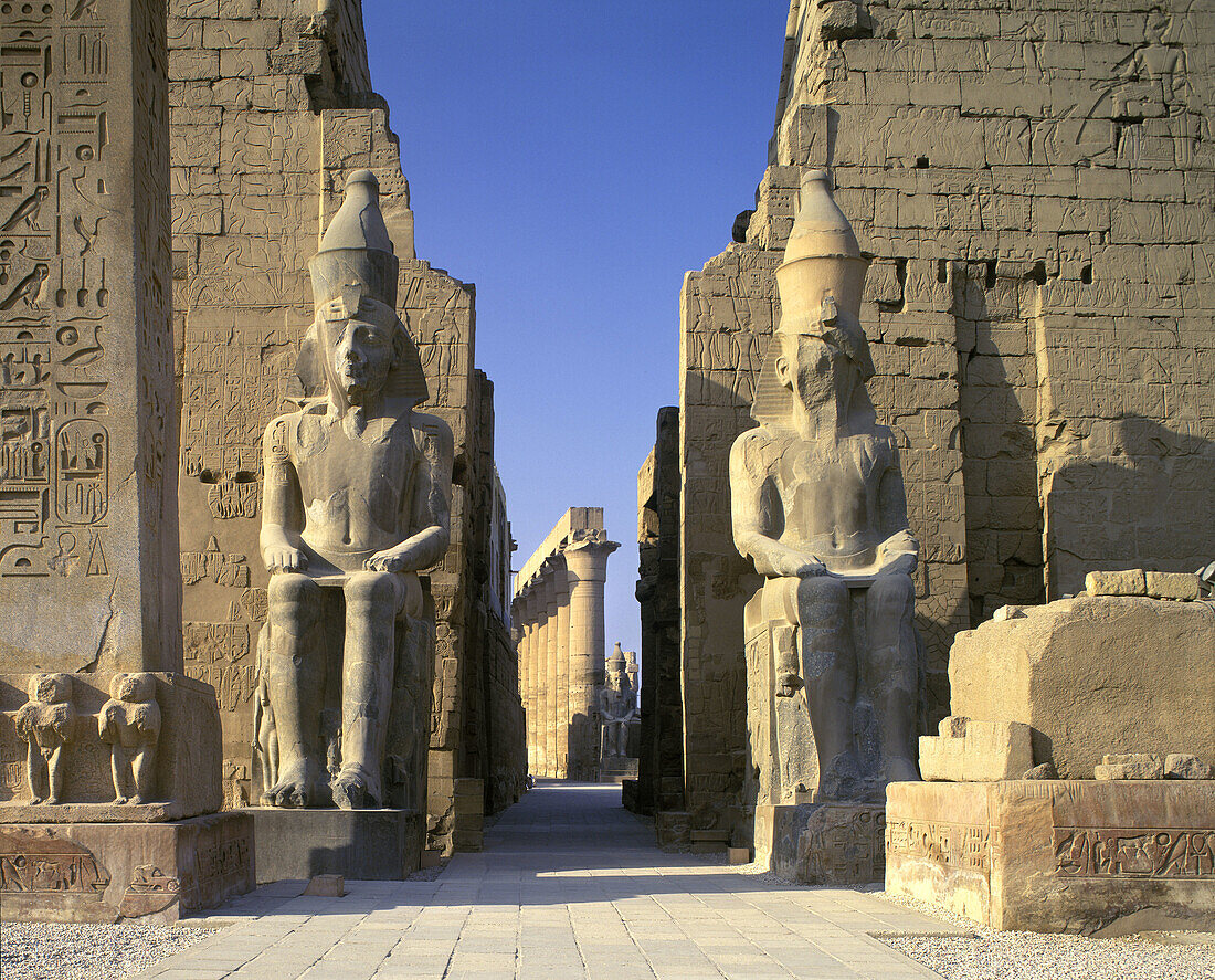 Ramses ii statues, Entrance, Temple of luxor, Luxor ruins, Egypt.