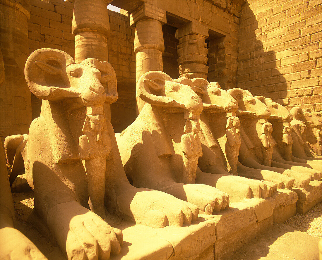 Ram headed sphinxes, Karnak temple, Luxor ruins, Egypt.
