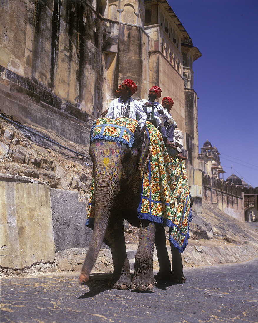 Elephant ride, Amber palace, Jaipur, Rajasthan, India.