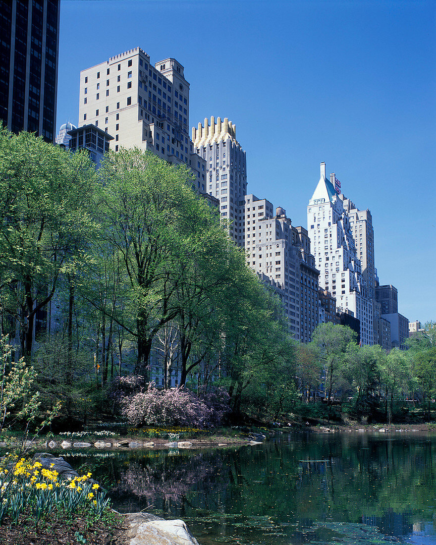 Spring blossoms, Pond, Central park south skyline, Manhattan, New York, USA.