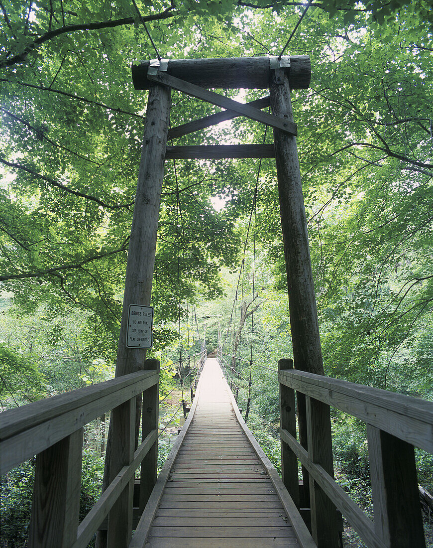 Fews ford suspension bridge, Eno State Park, Durham, North carolina, USA.