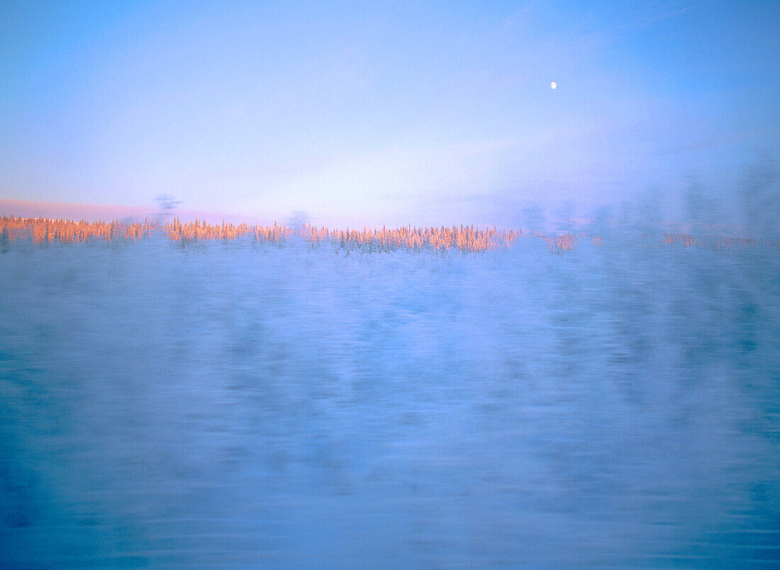 Winterforest and moon in motion, from a train in the evening. Kiruna. Lappland. Sweden