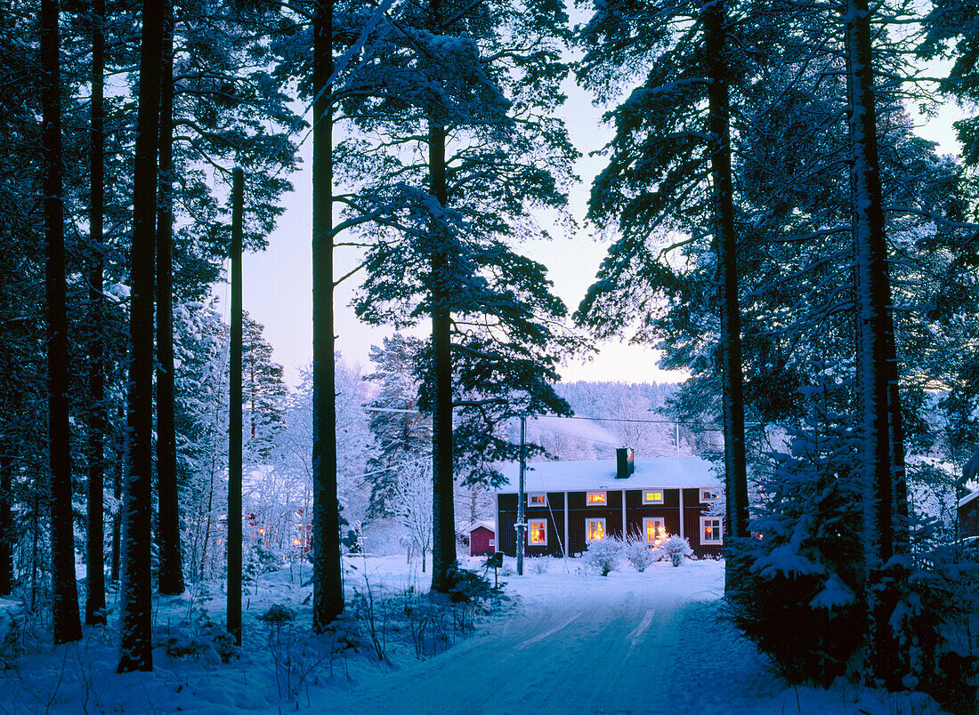 House in a forest. Klutmark. Vasterbotten. Sweden