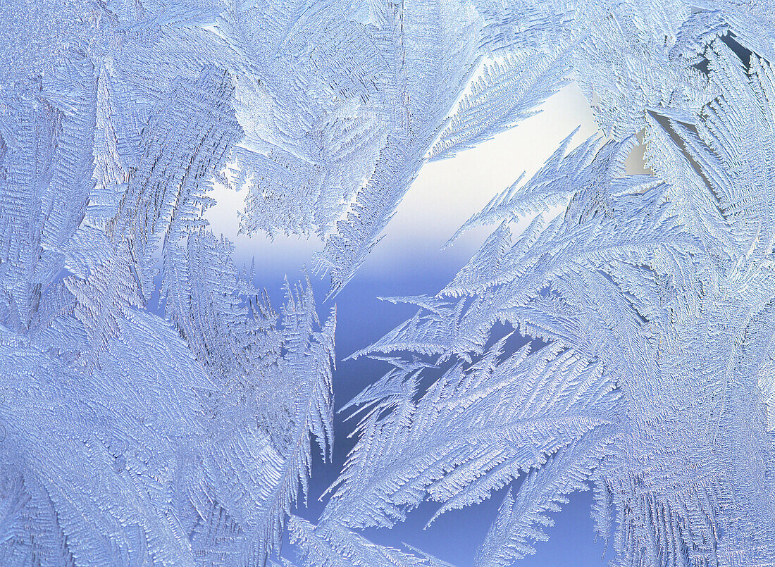 Hoar-frosted window un close-up. Byske, Västerbotten, Sweden