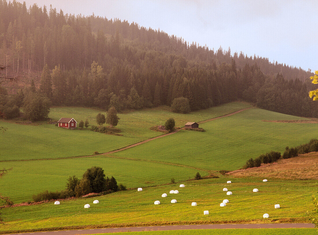 Red cottage and some white bales. Backland, Ångermanland, Sweden