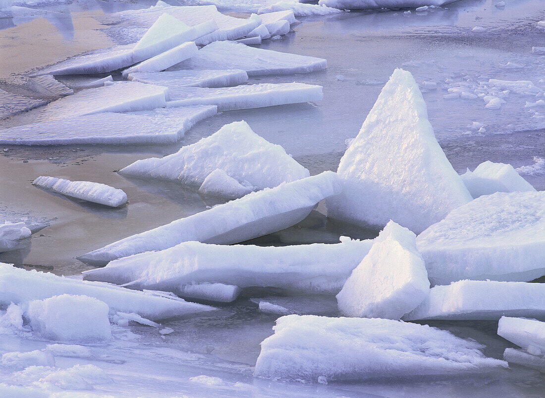 Break-up of ice at the shoreline of Gulf of Bothnia, close-up. Kagnasudden, Västerbotten, Sweden