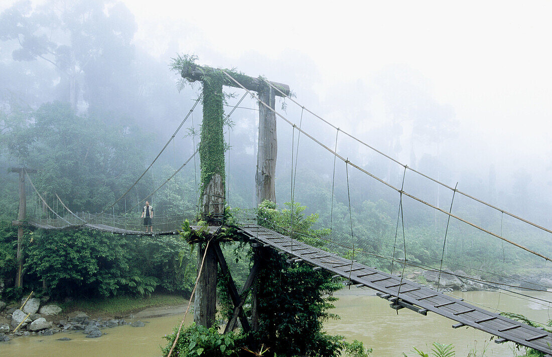 Man standing on a suspension bridge that s crossing a river. Danum Valley. Borneo. Malaysia