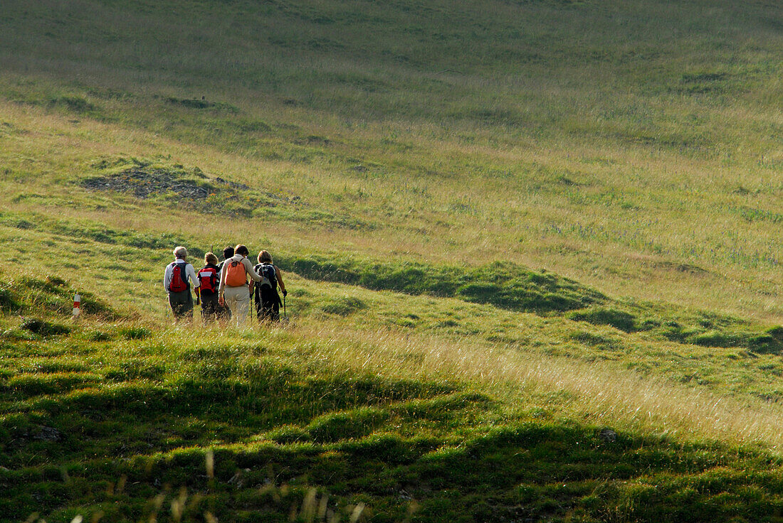 Group of hikers crossing alpine pasture, Val Trupchun, Swiss National Park, Engadin, Grisons, Switzerland