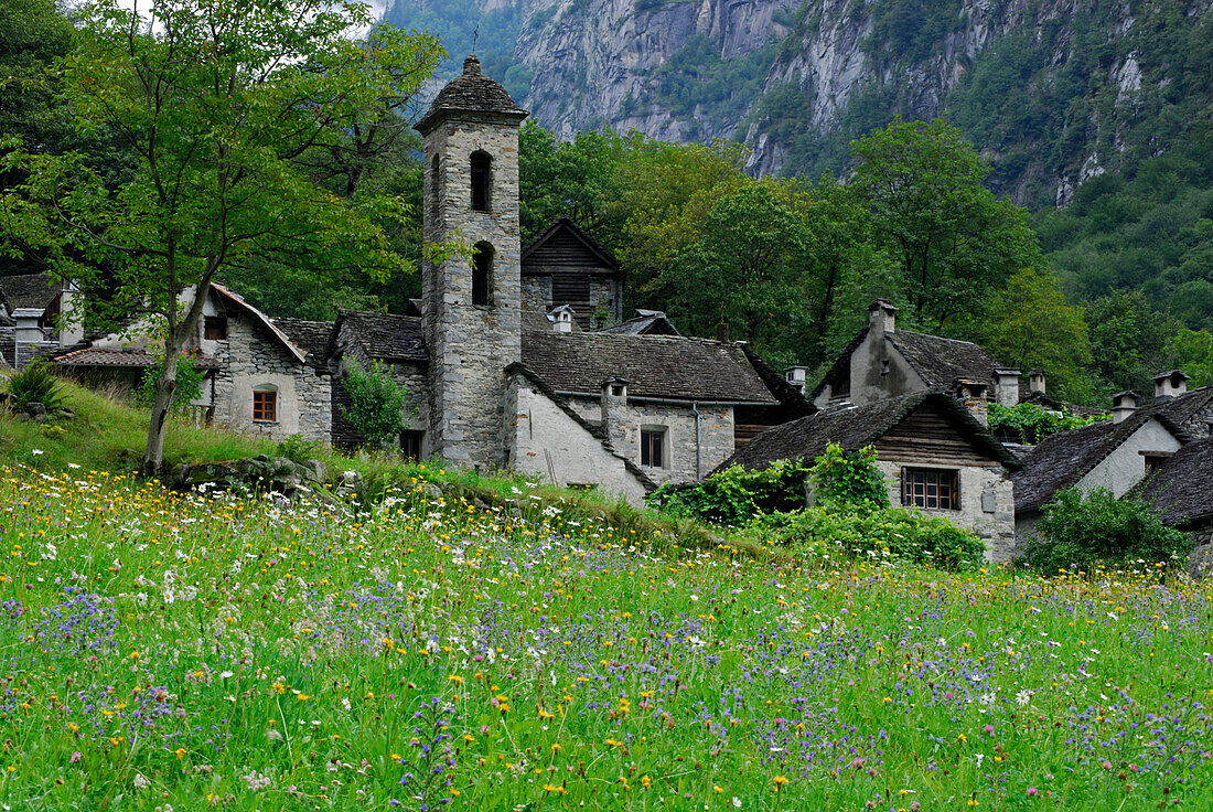 Blumenwiese mit Häusern und Kirche von Foroglio, Tessin, Schweiz