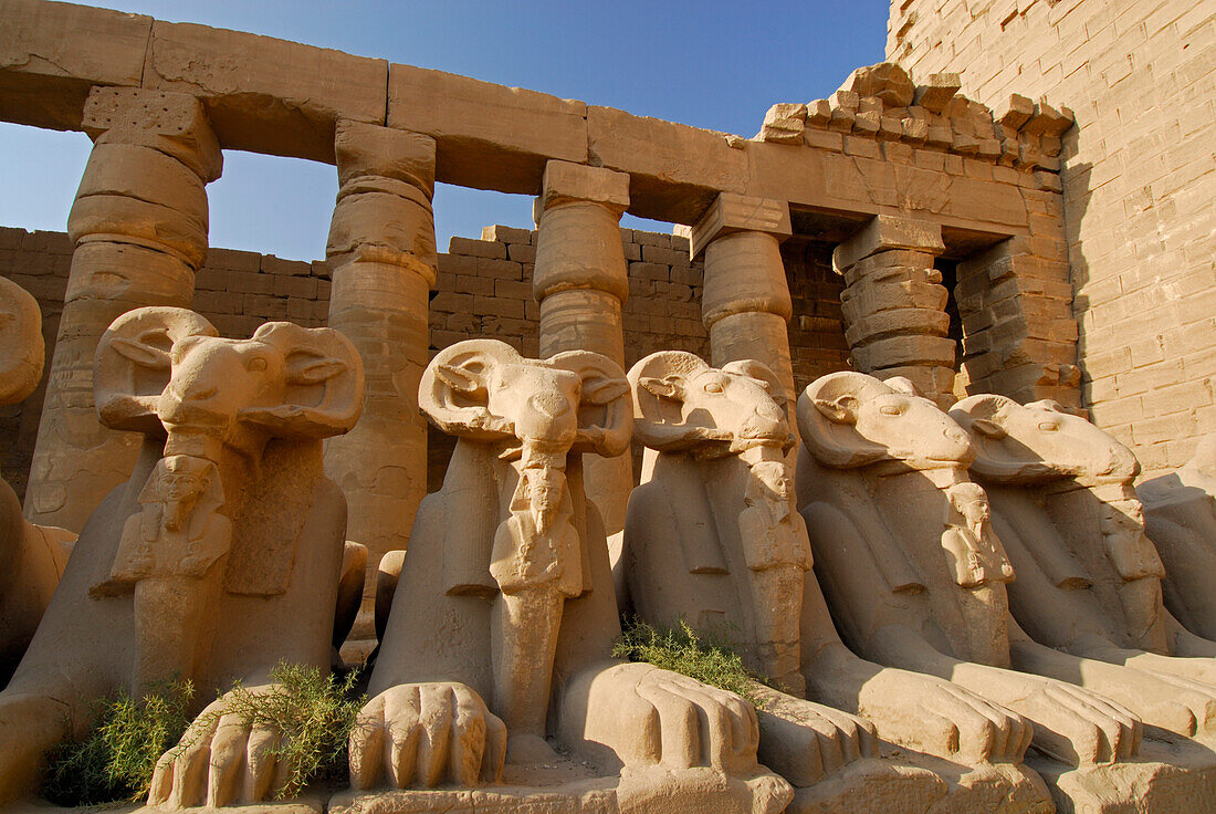 Widderstatuen im Tempel von Karnak, Ägypten, Afrika