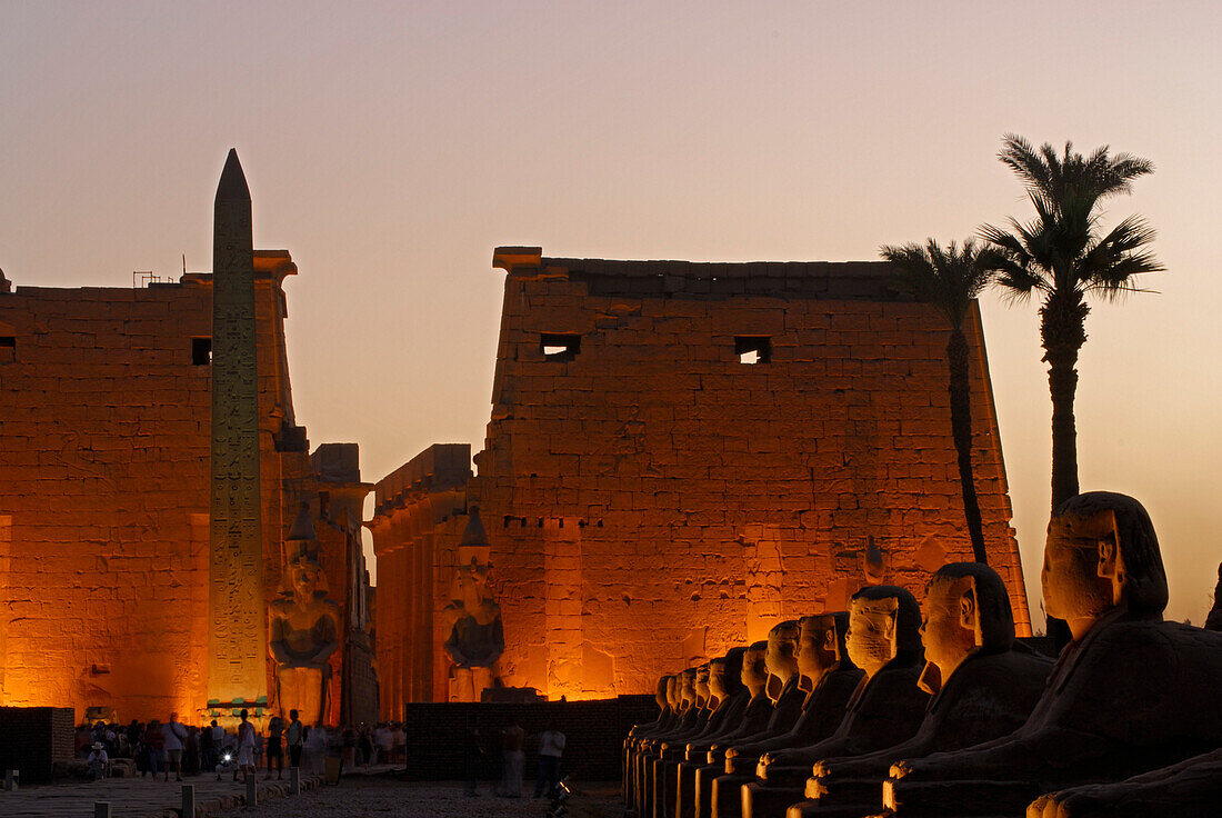 sphinxes and obelisk in front of first pylon in Luxor temple, illuminated in twilight, Egypt, Africa