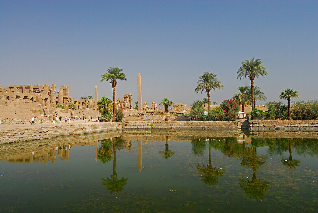 artificial lake with palm trees in Karnak temple, Egypt, Africa