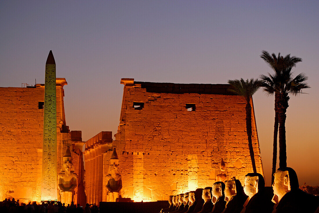Sphinxen und Obelisk vor dem ersten Pylon im Luxor Tempel, beleuchtet in der Dämmerung, Ägypten, Afrika