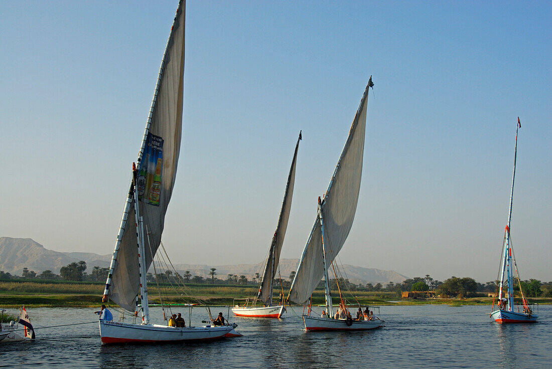 Segelboote (Felluken) auf dem Nil, Luxor, Ägypten, Afrika