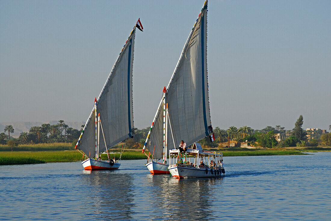 Segelboote (Felluken) auf dem Nil, Luxor, Ägypten, Afrika