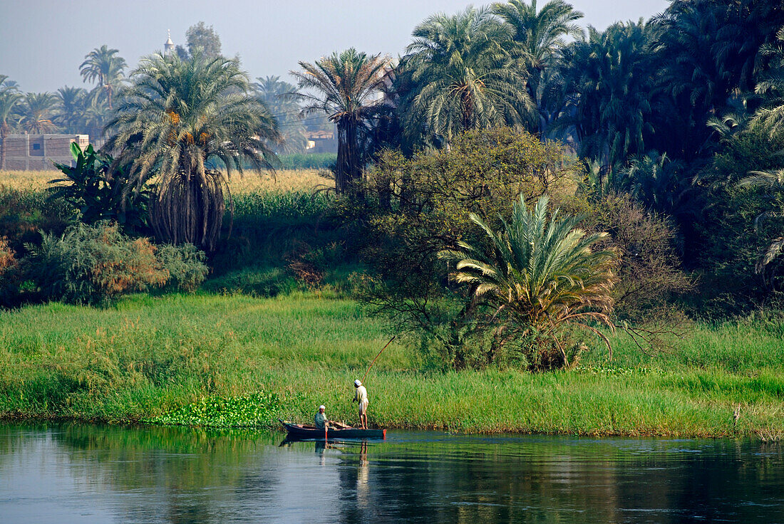 cruise on the Nile, fishermen in boat ion front of bank with palm trees, Nile between Luxor and Dendera, Egypt, Africa