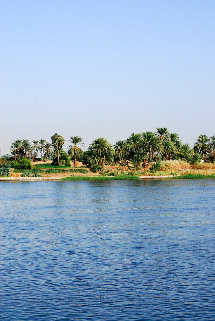 cruise on the Nile, farmers pastures at bank with palm trees, Nile between Luxor and Dendera, Egypt, Africa